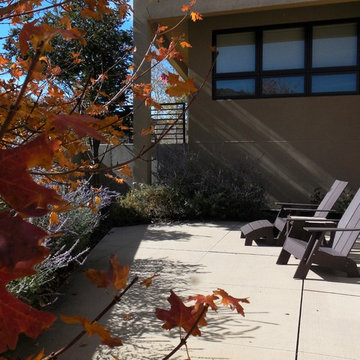 2005 Mountain Modern