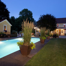 backyard/garden