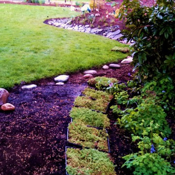 Master Gardener Landscape Makeover Rain Garden