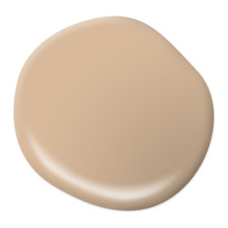 Dusty Gold S260-3 - Paint