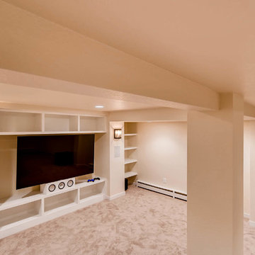 Eagle Modern Basement