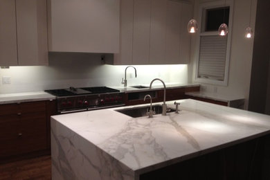 Kitchen - contemporary kitchen idea in Toronto