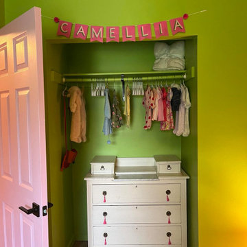 Baby Girl Nursery