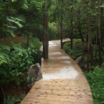 Mississauga Lake, decking through the forest