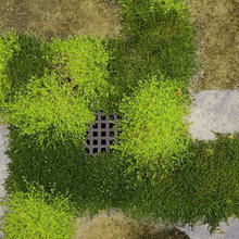 drain