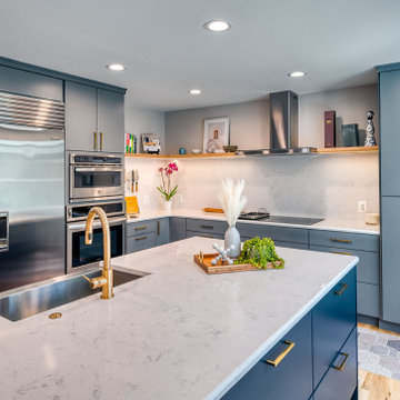 Oakton Transitional Kitchen Remodel
