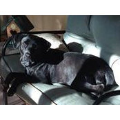 Leslie Ziegler's photo