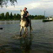 Dani Llavine's photo