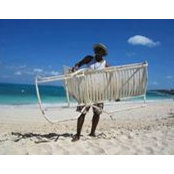 Leslie Brusco's photo