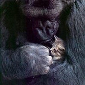 Ian Wilson's photo