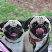 JeffandElkie Ryder's photo