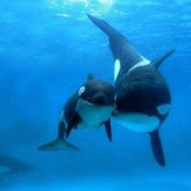 Sharon Allen's photo
