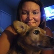 Shannon Ladd's photo