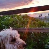 Michael N Rhonda Watts's photo