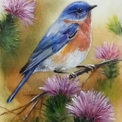 June Chandler's photo