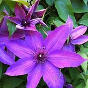 Mary-Trini Rivilla's photo