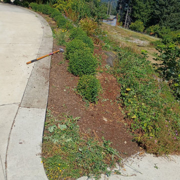 Landscape Cleanup and Ground Preparation