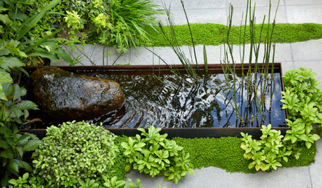 14 Water Features From Small Gardens in the UK & USA