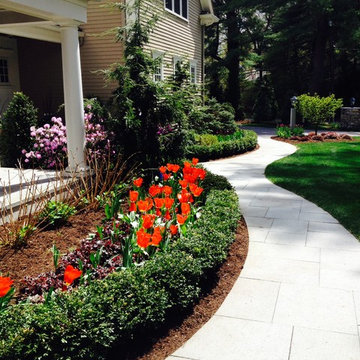 Spring Bulb Design