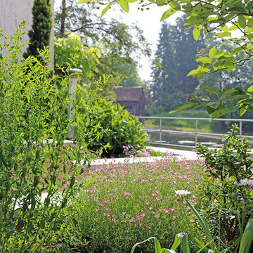 Gartenanlage am Fluss