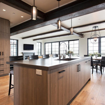 Ski In Ski Out Contemporary home