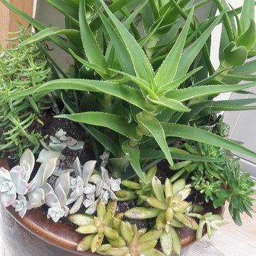 Container Design - Spring and Summer