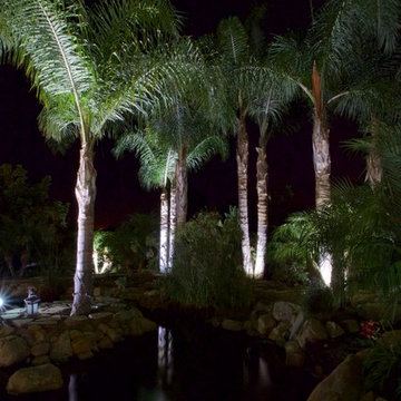 Sprawling Avacado and Palm Tree farm in Somis, California