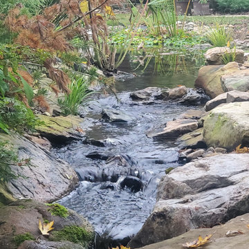 Stream side stroll