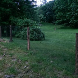 Deer Fence - Products