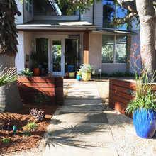 front yard