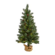 Curated Browse - Christmas Trees
