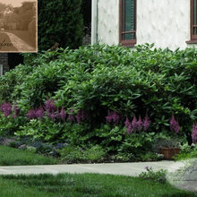 Shade Borders