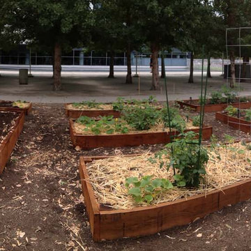 ebay, inc. Corporate Vegetable Garden Installation & Employee Garden Education