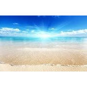 Laurie Rusch's photo
