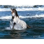LaDonna Barber King's photo