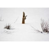 Danielle Bruckman's photo