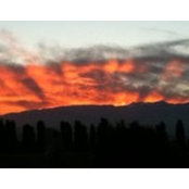 Drew Hamilton's photo