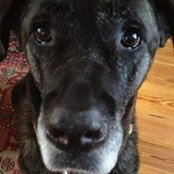 Doug DeLuca's photo