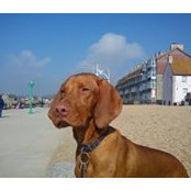 Sue Rawlins's photo