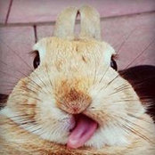 Cemile Yılmaz's photo