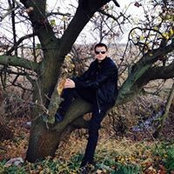 Максим Алексеев's photo