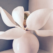 Melanie Mancino's photo