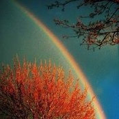 Foto von Deb Bailey Kruse