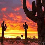 Cristina Lachman Wohlford's photo