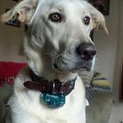 Foto von Carol Phelps