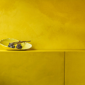 Chamäleon, identische Oberfläche auf Möbel und Wand
