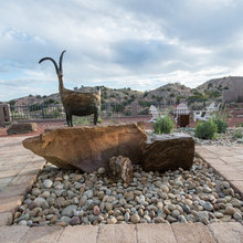 Desert Front Yard Landscaping