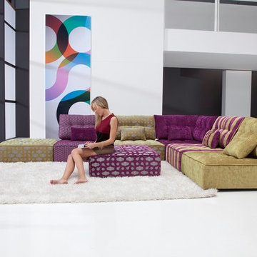 Arianne Modular Sectional Sofa by Famaliving California