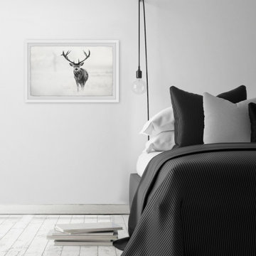 "Elk Stare" Framed Painting Print