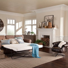 sleeper sofa